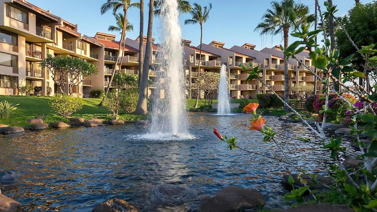 **Newly Remodeled** Steps To Kamaole 3 Beach! Wailea  Apartment Wailea (Maui)